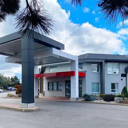 דריידן Comfort Inn מראה חיצוני תמונה