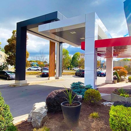 דריידן Comfort Inn מראה חיצוני תמונה