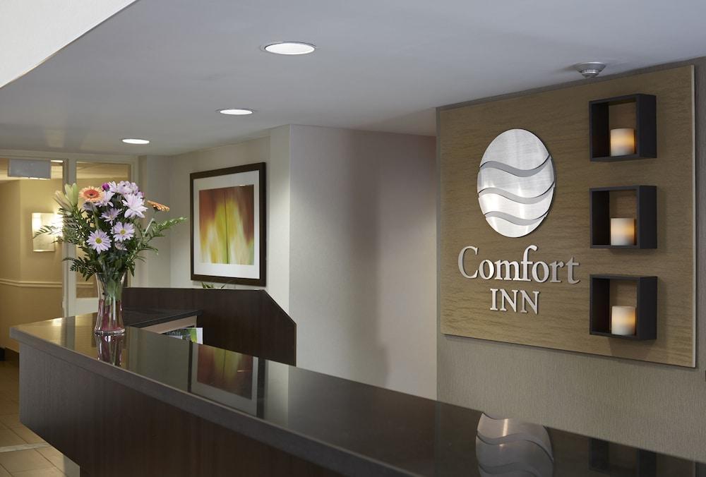 דריידן Comfort Inn מראה חיצוני תמונה