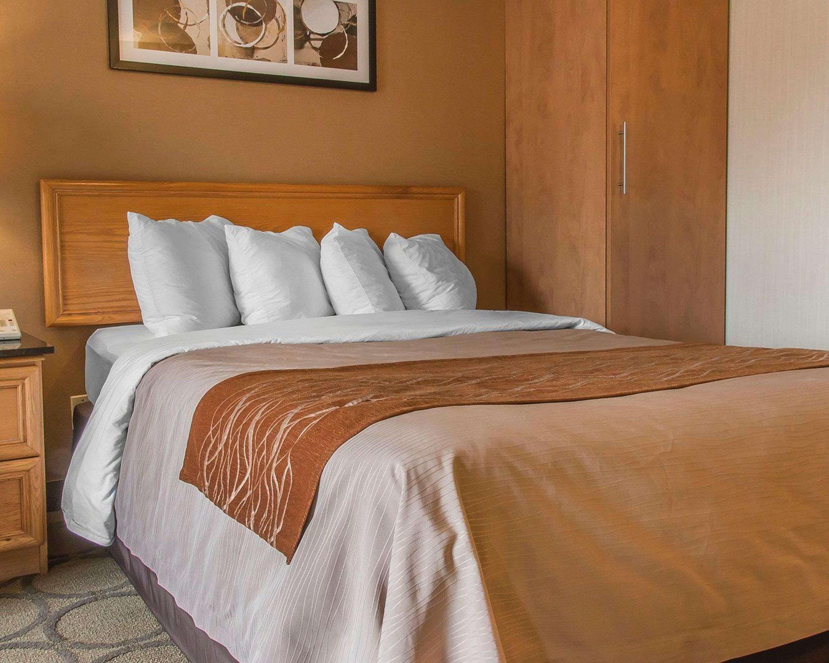דריידן Comfort Inn מראה חיצוני תמונה