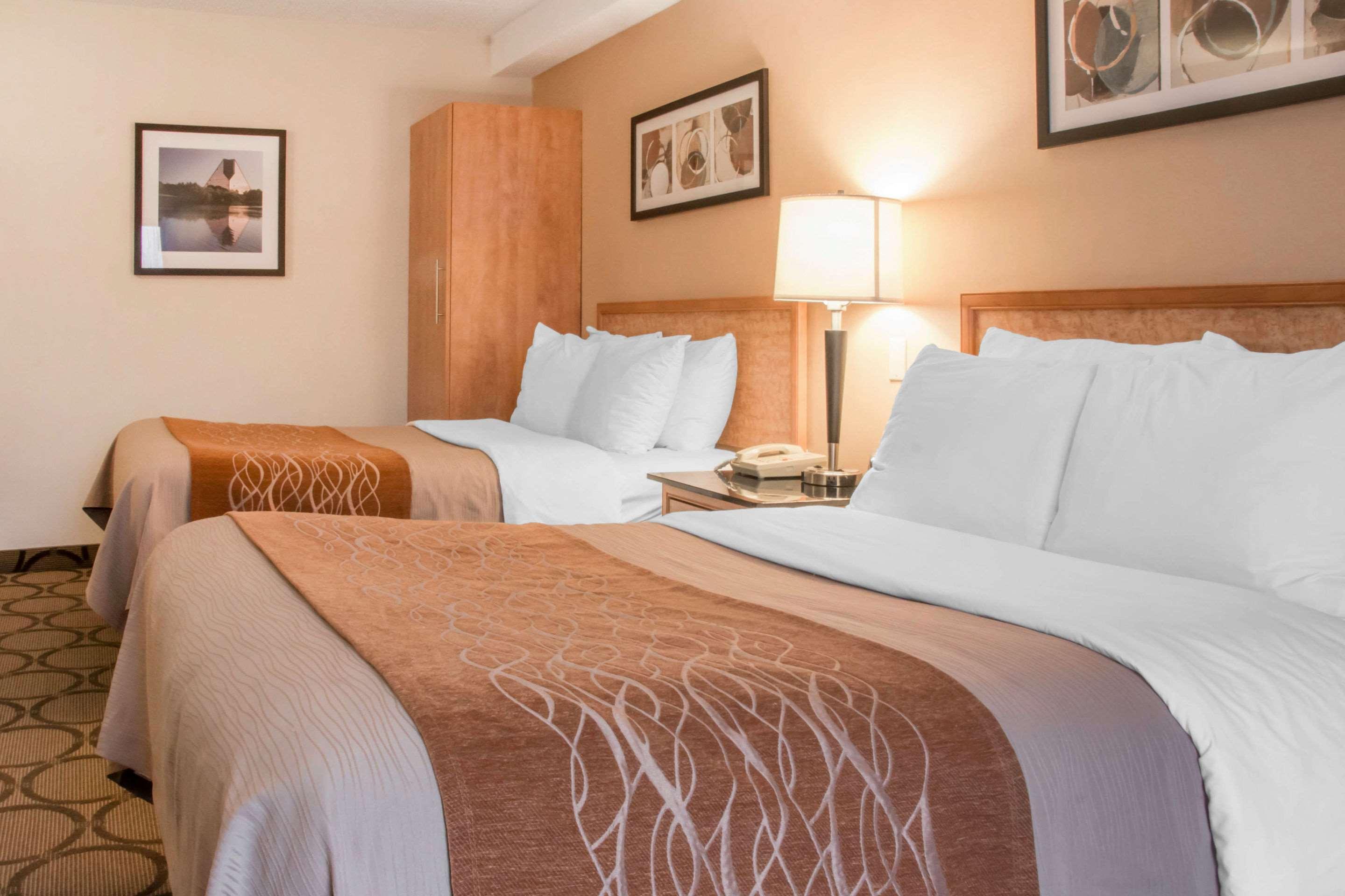 דריידן Comfort Inn מראה חיצוני תמונה