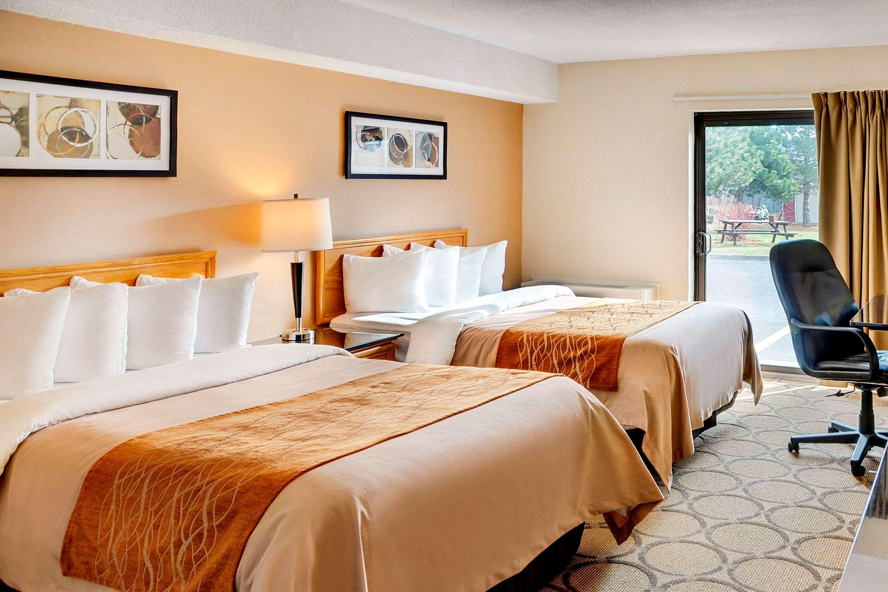 דריידן Comfort Inn מראה חיצוני תמונה