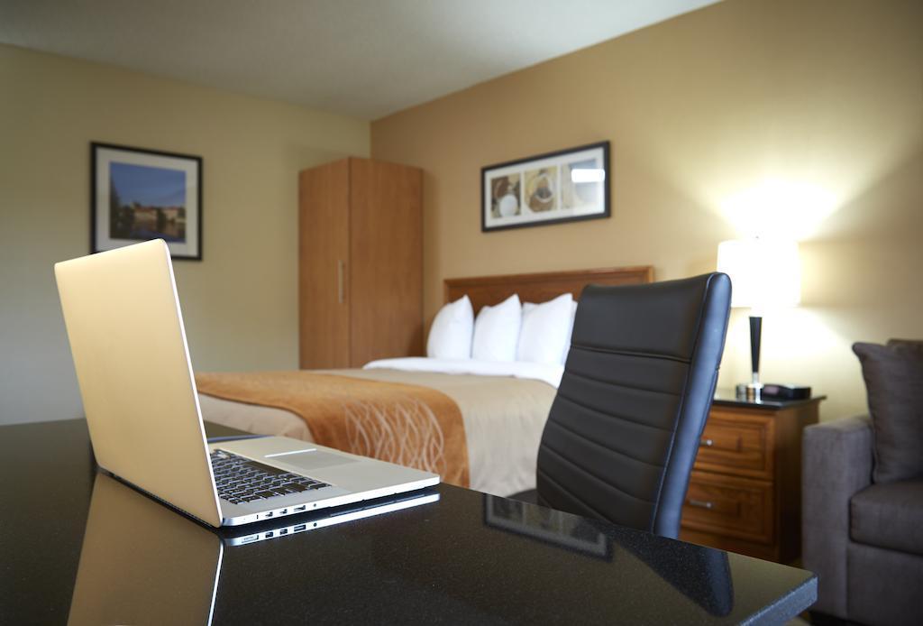דריידן Comfort Inn מראה חיצוני תמונה
