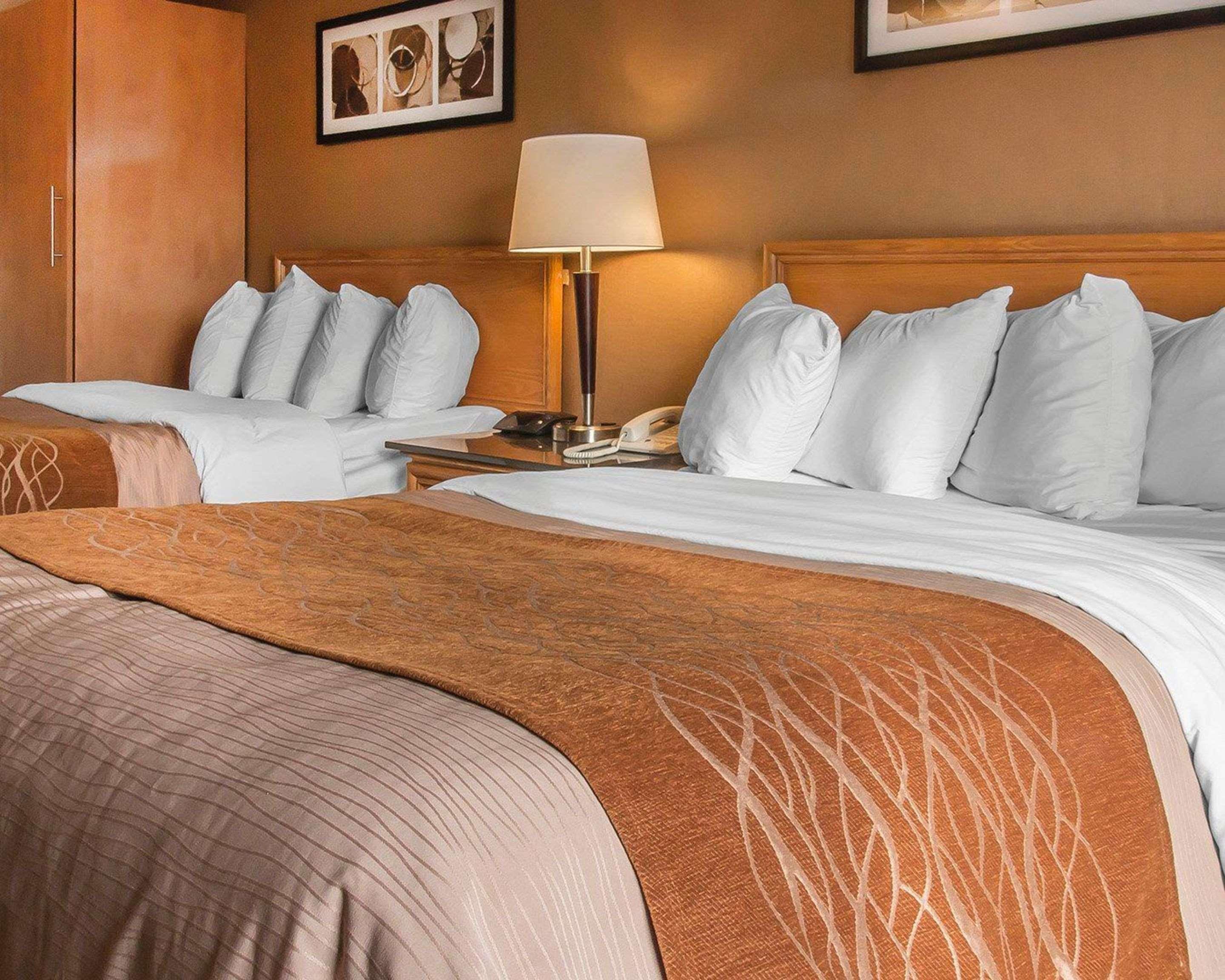 דריידן Comfort Inn מראה חיצוני תמונה