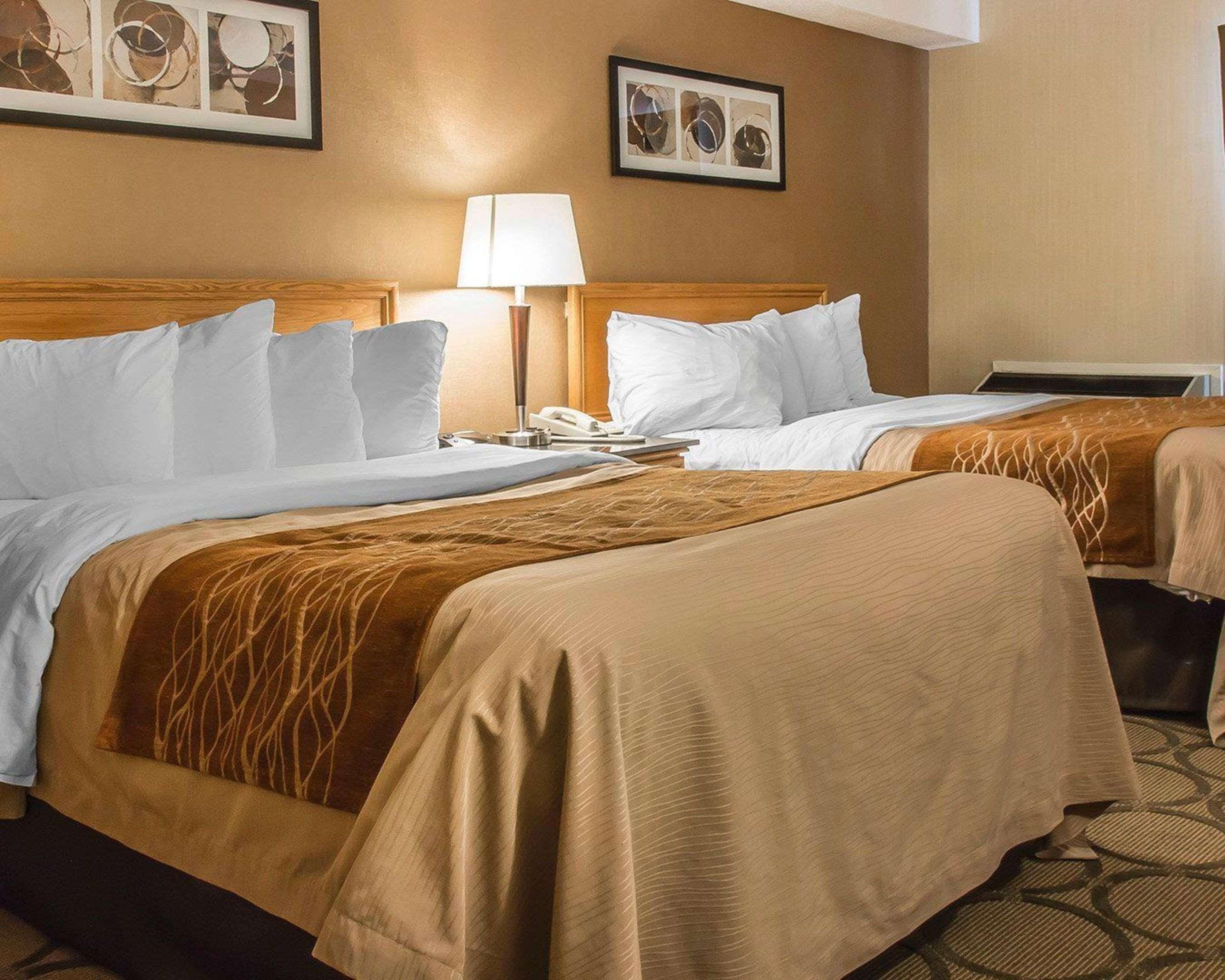 דריידן Comfort Inn מראה חיצוני תמונה
